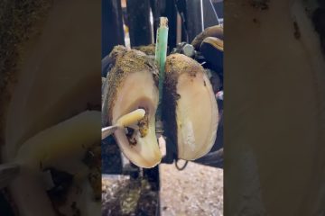 Cerraduras atascadas por polvo y suciedad acumulada